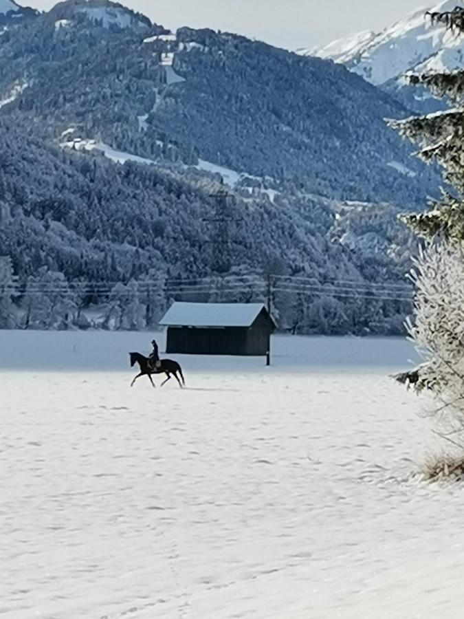 Landhaus Marie Hermagor-Pressegger See Eksteriør bilde