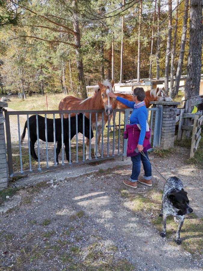 Landhaus Marie Hermagor-Pressegger See Eksteriør bilde